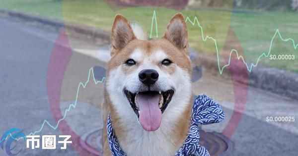 鲸鱼抄底999亿枚SHIB！Travala将接受柴犬币支付 Bybit开放交易